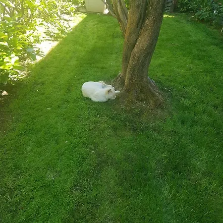 El Giardino Delle Rose..... Apartment