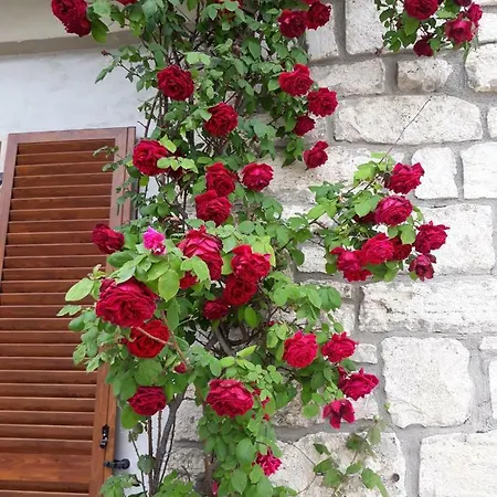 Apartment El Giardino Delle Rose.....